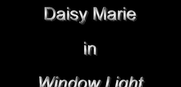  Daisy Marie Window Light